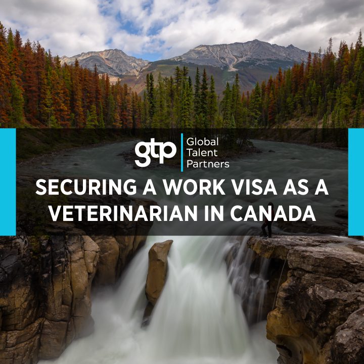 securing a work visa as a veterinarian in canada