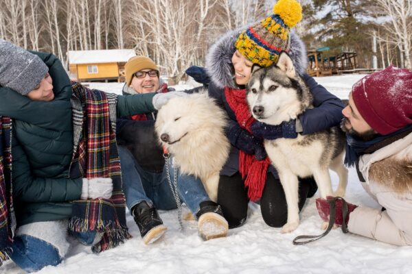 Full length portrait of happy young people playing with two dogs outdoors in snow while enjoying time in winter resort