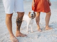 young couple in orange clothes with dog on an empty sandy beach